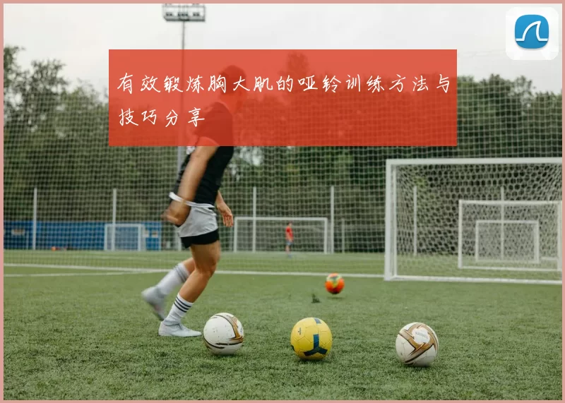 有效锻炼胸大肌的哑铃训练方法与技巧分享